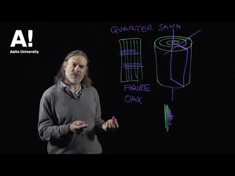 Thumbnail for Wood anatomy (4) hardwood cutting planes by Aalto University - Wood Science