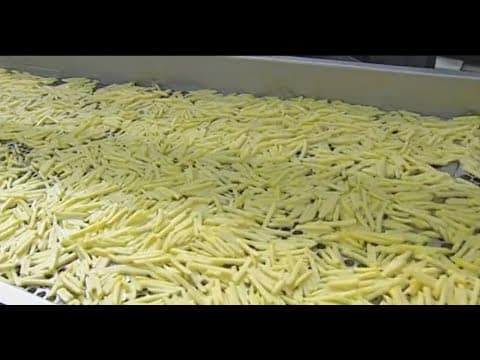 Thumbnail for Como se hacen las Patatas en bastones prefritas congeladas Fabrica de papas pre fritas by Emprendedores y manufacturas