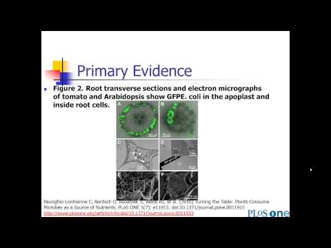 Thumbnail for Sainani SciWrite 5.1 by sciwrite stanford