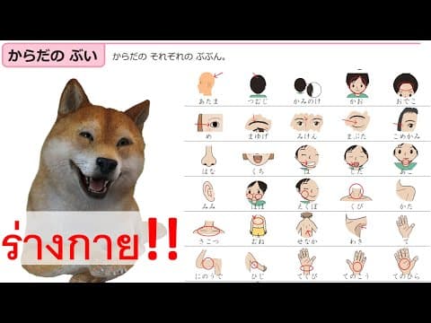 Thumbnail for สอนภาษาญี่ปุ่น ในหมวด 体の部位 KARADA NO BUI สัดส่วนของร่างกาย ''ちびむすドリル'' by เรียนภาษาญี่ปุ่นกับพี่ริว