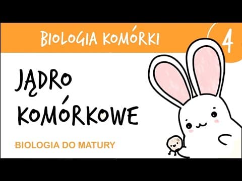 Thumbnail for Cytologia 4 - Jądro komórkowe - biologia rozszerzona matura liceum przygotowanie do matury z biologi by aniodbiologii