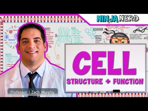 Thumbnail for Cell Biology | Cell Structure & Function by Ninja Nerd