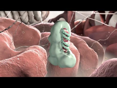 Thumbnail for Gene Silencing by Micro RNA - Studio Katharina Petsche by Katharina Petsche