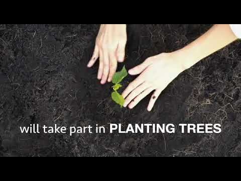 Thumbnail for Plant Trees. Plant Hope. Save Earth. by The House of KKB