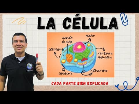 Thumbnail for LA CÉLULA. ESTRUCTURA Y FUNCIÓN CELULAR. MITOCONDRIAS, RIBOSOMAS, LISOSOMAS, ETC. by ARRIBA LA CIENCIA