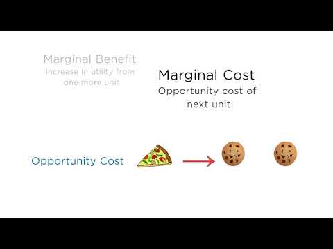 Thumbnail for 1.7 Utility Maximization Part II by AP Microeconomics with MIT Professor Jon Gruber