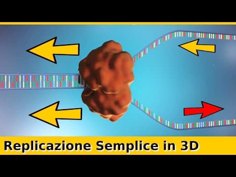 Thumbnail for Replicazione del DNA: la Duplicazione Resa Semplice by Ulisse