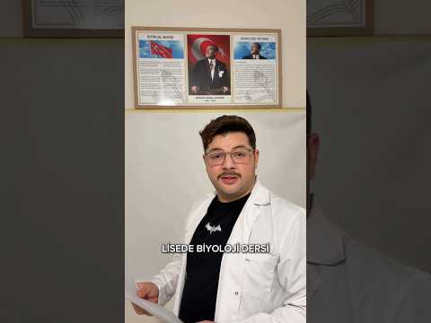 Thumbnail for Endoplazmik retikulum şakalarının hiç bitmediği lise biyoloji dersleri by Umutcan Deniz İlyasoğlu