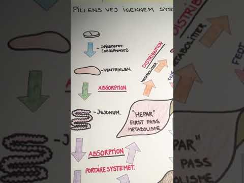Thumbnail for Farmakokinetik - pillens vej igennem systemet - Farmakologi by Camilla Jakobsen