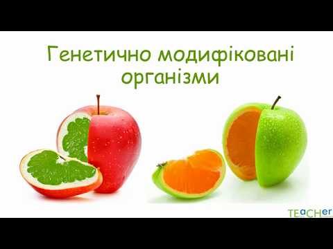 Thumbnail for Генетично модифіковані організми by Tetiana Chychkovska