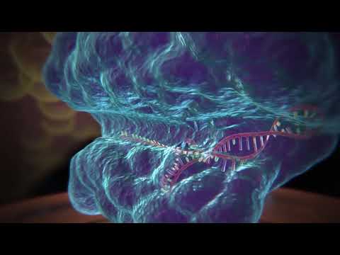 Thumbnail for Crispr-cas 9 le forbici del DNA by lorenzopinnavideo