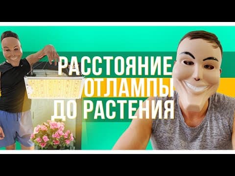 Thumbnail for Свет в гроубоксе. Расстояние до лампы. by GANJA HANDS