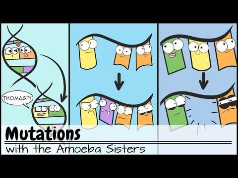 Thumbnail for Mutations (Updated) by Amoeba Sisters