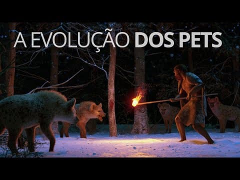 Thumbnail for A história dos cães e gatos: quem domesticou quem? by ABC Terra