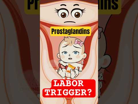 Thumbnail for Why does semen trigger labor? #PregnancyTips, #LaborAndDelivery by Pregnancy Music Channel