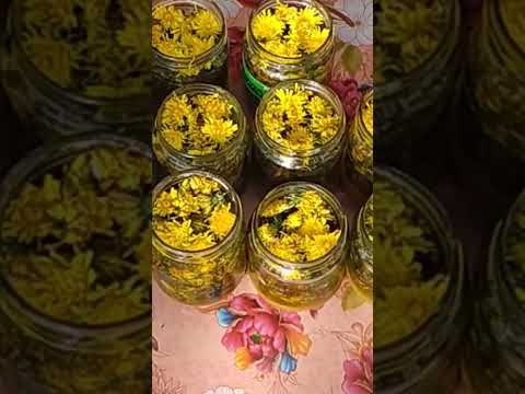 Thumbnail for ЧУДО - ОДУВАНЧИКИ В МЕДУ, РЕЦЕПТ by VO BLAGO OM