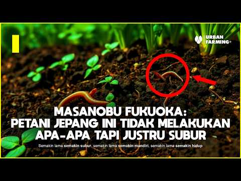 Thumbnail for Inilah Filosofi Pertanian Terbaik Sepanjang Masa : Masanobu Fukuoka! by URBAN FARMING