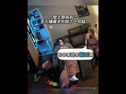 Thumbnail for 好嗆的二哈😐 by 暖視界Eye