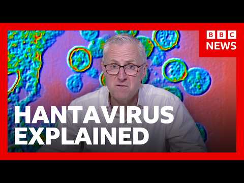 Thumbnail for What is hantavirus and how is it spread? | BBC News by BBC News