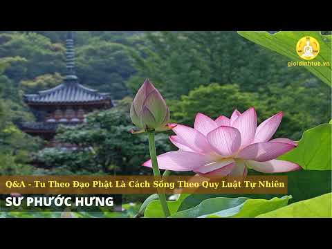 Thumbnail for Q&A  - Tu theo đạo Phật là cách sống thuận theo quy luật tự nhiên by Sư Phước Hưng suphuochung gmail com