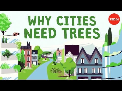 Thumbnail for What happens if you cut down all of a city's trees? - Stefan Al by TED-Ed
