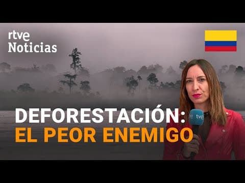 Thumbnail for AMAZONÍA: Los llamados "RÍOS VOLADORES" en PELIGRO DE EXTINCIÓN por el CAMBIO CLIMÁTICO | RTVE by RTVE Noticias