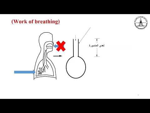 Thumbnail for 1.2b.Changes of pressure in PPV by Essentials Of Mechanical Ventilation. M A Fakher