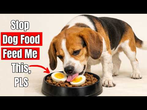 Thumbnail for 16 Cheap Human Foods Better Than Expensive Dog Food (1% Owners Know!) by Animal Guide