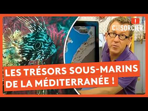 Thumbnail for Les trésors sous-marins de la Méditerranée ! - C'est pas sorcier by C'est pas sorcier