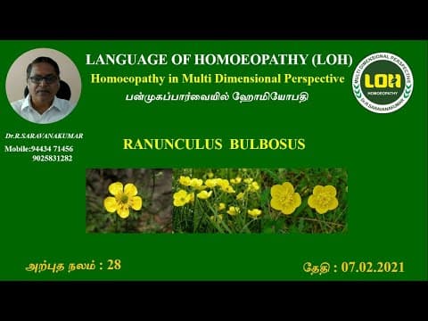 Thumbnail for RANUNCULUS BULBOSUS # அற்புதநலம் 28 # Dr.R.Saravanakumar BHMS - Madurai by LANGUAGE OF HOMOEOPATHY