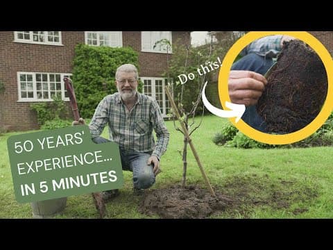 Thumbnail for How to Plant a Tree: 5 steps from the UK's top tree growing expert by Roots Plants