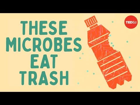 Thumbnail for The smallest solution to one of our biggest problems - Tierney Thys & Christian Sardet by TED-Ed