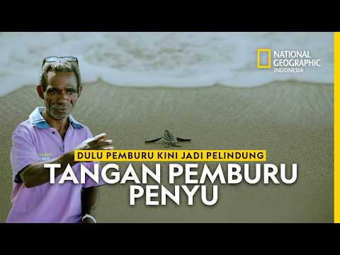 Thumbnail for Kisah Nyata Pemburu Penyu yang Bertaubat - National Geographic Indonesia by Nat Geo Indonesia