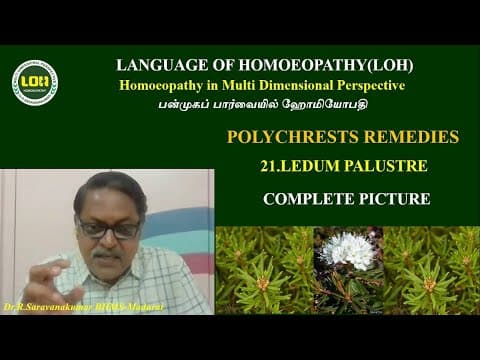 Thumbnail for 21.LEDUM PALUSTRE # POLYCHRESTS REMEDIES # Dr.R.Saravanakumar BHMS - Madurai by LANGUAGE OF HOMOEOPATHY