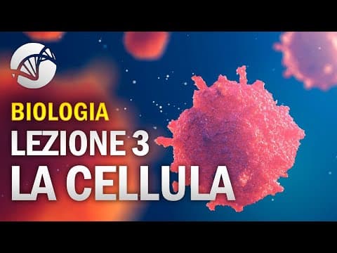 Thumbnail for BIOLOGIA - Lezione 3 - La Cellula Eucariota by La Biologia per tutti