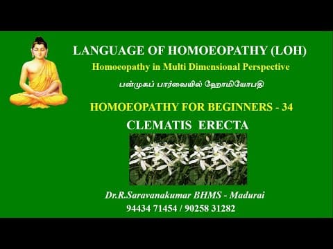 Thumbnail for CLEMATIS ERECTA # LOH # HOMOEOPATHY FOR BEGINNERS - 33 # Dr.R.Saravanakumar BHMS - Madurai by LANGUAGE OF HOMOEOPATHY