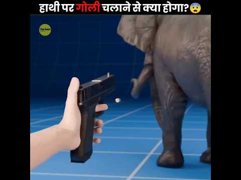 Thumbnail for What If You Shot An Elephant 😨 by The Fact