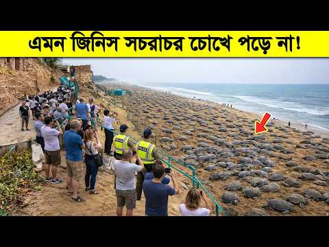 Thumbnail for ভিডিওটা দেখুন ! নির্ঘাত বোকা বনে যাবেন। কিছু জিনিসের কোনো ব্যাখা হয় না ! by মায়াজাল