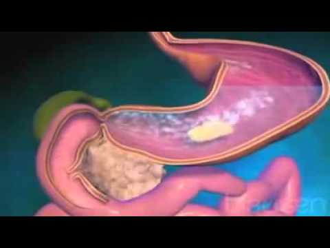 Thumbnail for PROCESO DE LA DIGESTION by Academia Santo Tomás