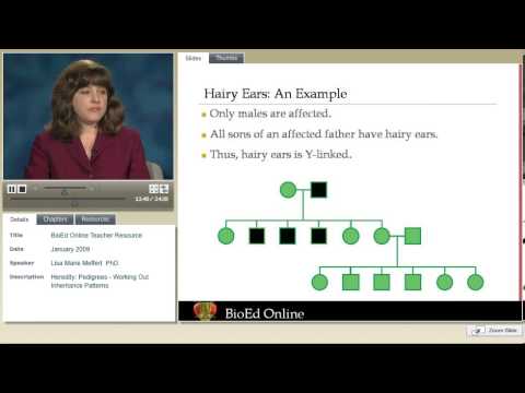 Thumbnail for Introduction to Pedigrees by BioEd Online