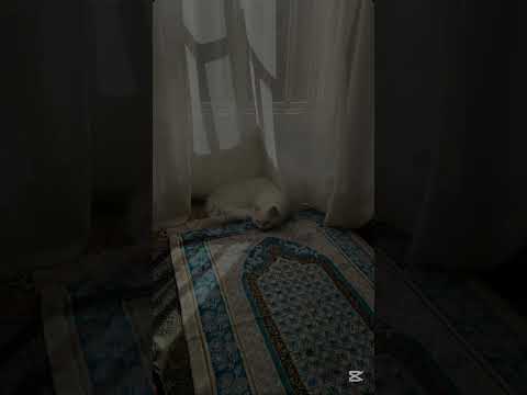 Thumbnail for أكتب شيء تؤجر عليه ❤️🩹 by مـحـمـد نـُـُـُـُور