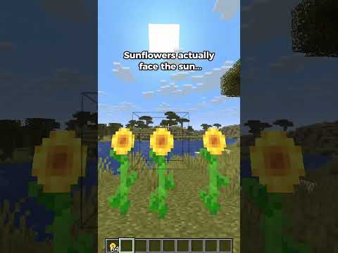 Thumbnail for Minecraft MYTH vs REAL 🤣 by Pringlez