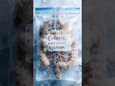 Thumbnail for This “Second Brain” Lives in Your Gut 😳🧠 by Xavork