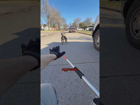 Thumbnail for Them kids don't listen ik she's stressed by J Shorts