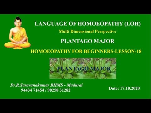 Thumbnail for PLANTAGO MAJOR # LOH # HOMOEOPATHY FOR BEGINNERS - LESSON -18 # Dr.R.Saravanakumar BHMS - Madurai by LANGUAGE OF HOMOEOPATHY