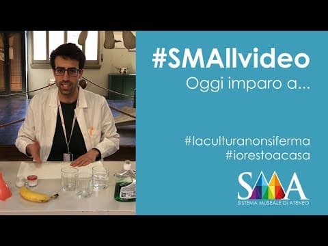 Thumbnail for Oggi imparo a... Estrarre il DNA | Sistema Museale di Ateneo by Università di Bologna