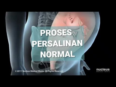 Thumbnail for PROSES PERSALINAN NORMAL by Cipta Widiya