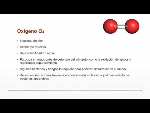 Thumbnail for Atmósfera modificada y controlada by Docente Tecnología, Innovación y alimentos