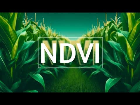 Thumbnail for NDVI analiz nedir? Uydu İle NDVI analizi nasıl yapılır? - Agrovech by Agrovech