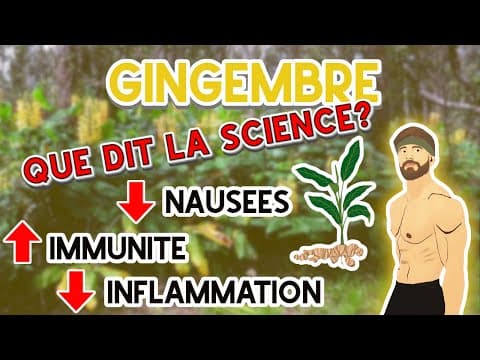 Thumbnail for GINGEMBRE (Que Dit La Science) | Bienfaits, Dose Et Effets Secondaires by Le Druide Moderne